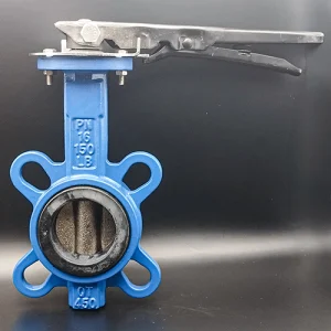Cast Iron Butterfly Valve