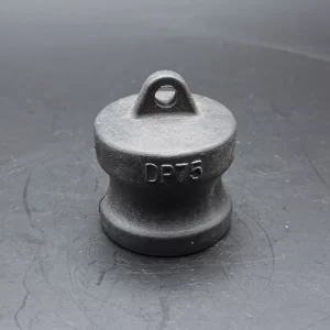 Dust Plug